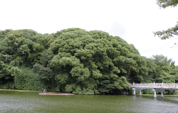 「茶臼山（ちゃうすやま）」慶長19（1614）年11月、大坂冬の陣では徳川家康の本陣となり、慶長20年5月には、真田幸村がここに本陣を構え、戦いが繰り広げられました。大阪府大阪市天王寺区茶臼山町1ノ108問☎06（6771）8401天王寺動物公園事務所（天王寺公園内）