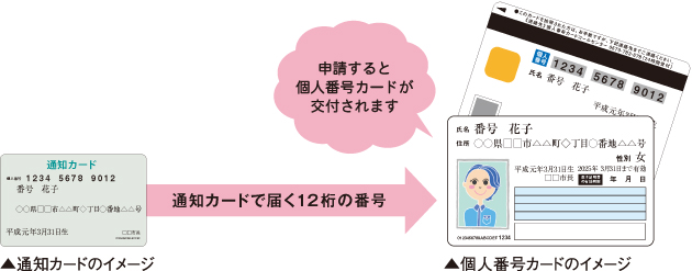 「通知カード」には、氏名、住所、生年月日、性別と、12桁の番号“マイナンバー”が書かれています。同封の「個人番号カード申請書」（またはインターネット）で申請すれば、「個人番号カード」が来年1月以降に、各市町村で交付されます。「個人番号カード」には顔写真が記載され、マイナンバーを利用するときの本人確認に使ったり、身分証明書としても活用できるように。運転免許証のように、有効期限も設けられます。