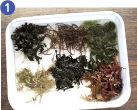 海で拾ってきた海藻のうち、使用する分だけ真水（水道水）に約30分漬け、塩抜きをします（使わない分は塩抜きせずに冷凍保存可）