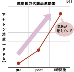 ※30分トレッドミル、その後デスクワーク（52歳男性）