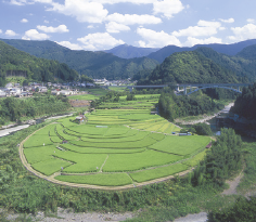 有田川町「あらぎ島」