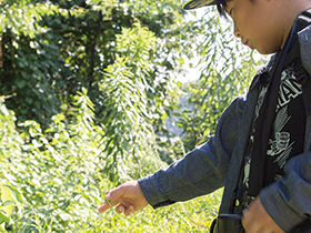 生き物を探してみよう草の中にはバッタ、木には昆虫の抜け殻を発見。空を見上げるとチョウチョも