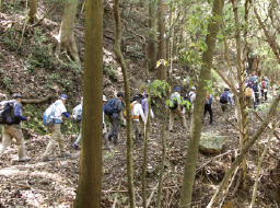 広川町内の熊野参詣道紀伊路は、ミカン畑や集落を抜け、鹿ヶ瀬峠を越えて日高町へと向かいます。途中、国指定史跡の熊野九十九王子の一つである河瀬王子社跡、養源寺の源流とされる法華壇などがあります