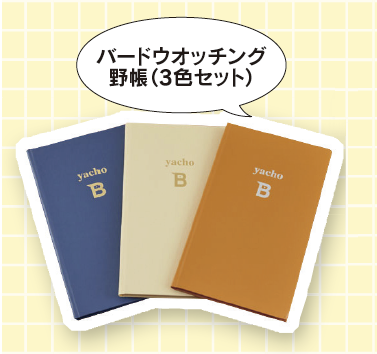 ポケットに収まるコンパクトなメモ帳。「ツバメネイビー」「アホウドリクリーム」「コマドリオレンジ」の3色セット。3mm方眼のスケッチブックタイプ。1458円。