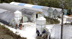 有田川町と日高川町の山々に囲まれた鶏舎