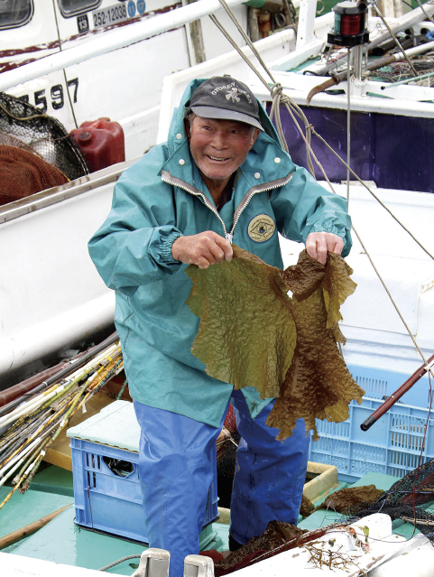 船上で天然ヒロメを広げる尾﨑紀光さんは、漁師暦45年。葉部が大きな卵形で切れ込みがなく、メカブを作らないのがワカメとの違い