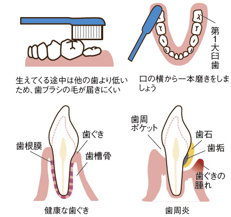 ライフステージに沿った予防とケア