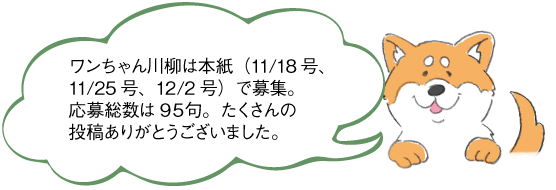 応募ありがとうございました