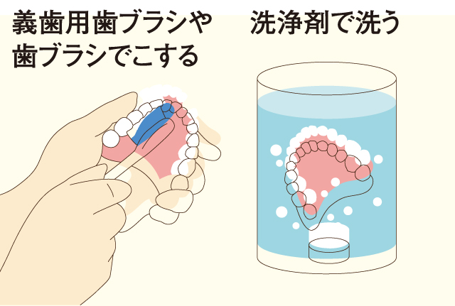 ライフステージに沿った予防とケア 高齢期～喪失歯の急増期～