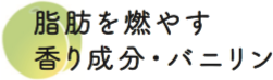 脂肪を燃やす 香り成分・バニリン