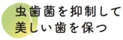 虫歯菌を抑制して 美しい歯を保つ