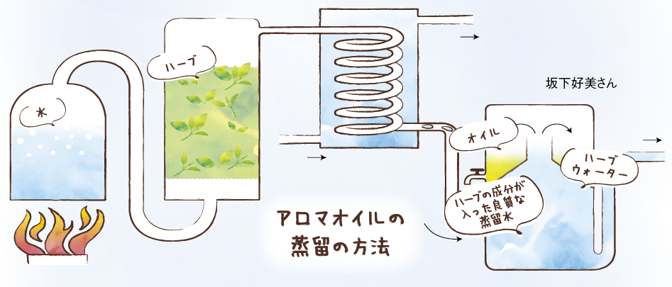 アロマオイルの蒸留の方法