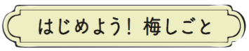 はじめよう！ 梅しごと