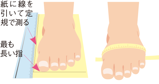紙に線を引いて定規で測る、最も長い指