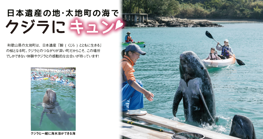 日本遺産の地・太地町の海で クジラにキュン♡