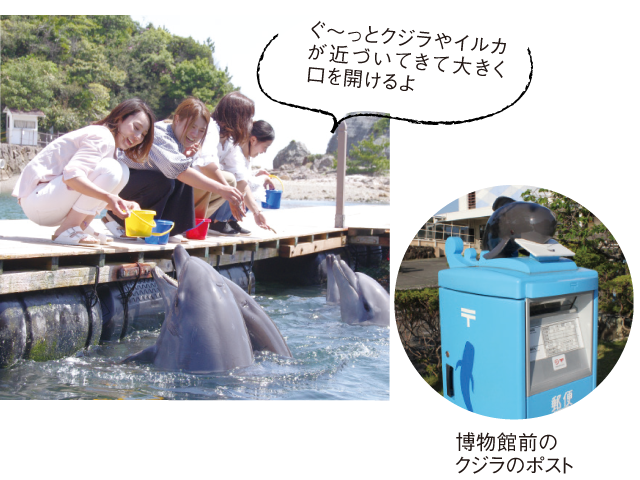 海洋水族館(マリナリュム)餌あげ体験