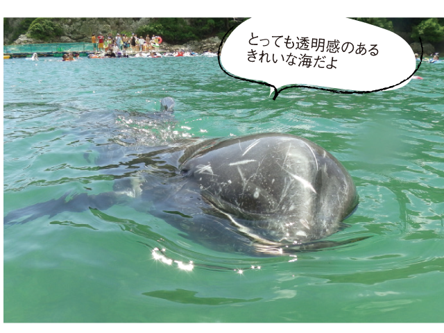 くじら浜海水浴場