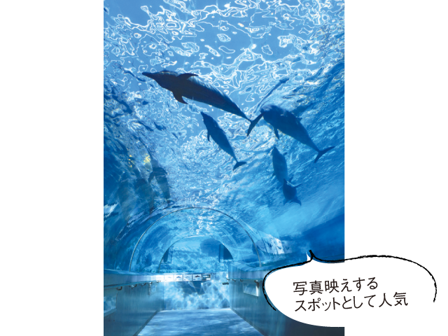 海洋水族館(マリナリュム)