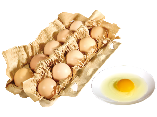 リビング和歌山10月30日号「和歌山生まれの卵としょう油で 極上のTKGを追求せよ！」私好みのTKGを見つけよう_龍神コッコの小さなたまご（とりとんファーム）