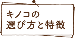 キノコの選び方と特徴（5種類）