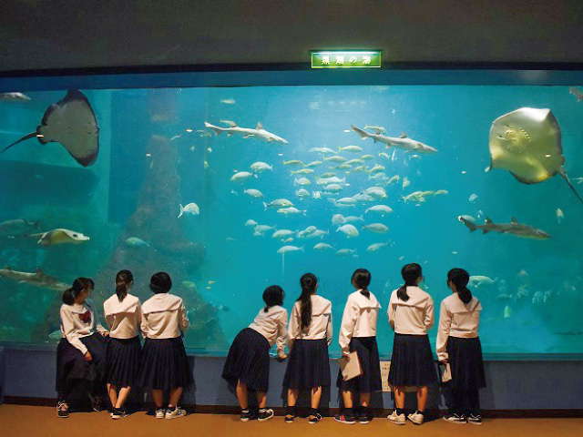 和歌山の生物について学習する校外学習(1年生)