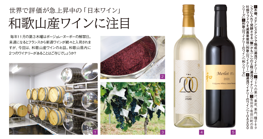 リビング和歌山11月13日号「世界で評価が急上昇中の「日本ワイン」和歌山産ワインに注目」