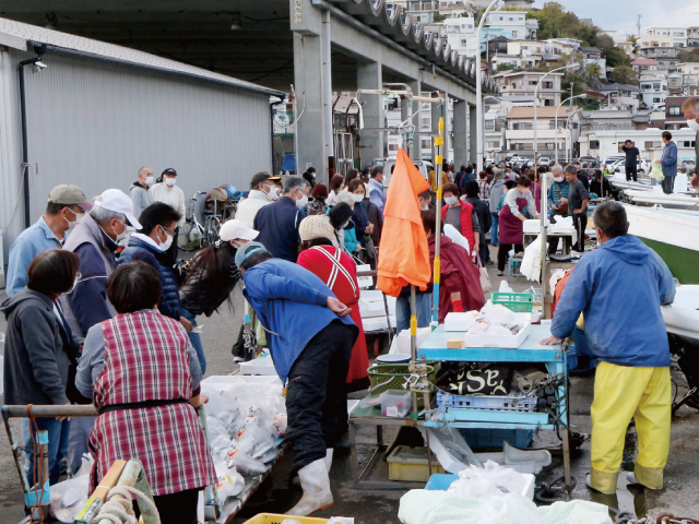 雑賀崎漁業協同組合_鮮魚販売