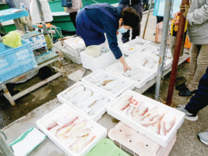雑賀崎漁業協同組合_鮮魚販売