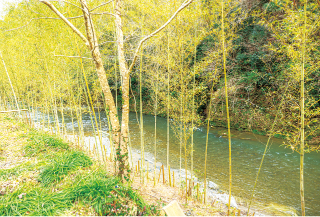 近くを流れる貴志川