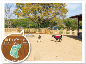 四季の郷公園_ドッグパーク