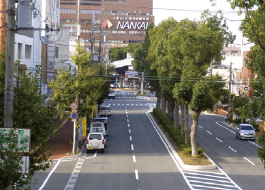 和歌山市駅前で社会実験 歩行者天国にしてまちの可能性を探る