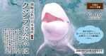 捕鯨文化が日本遺産 クジラに会いに