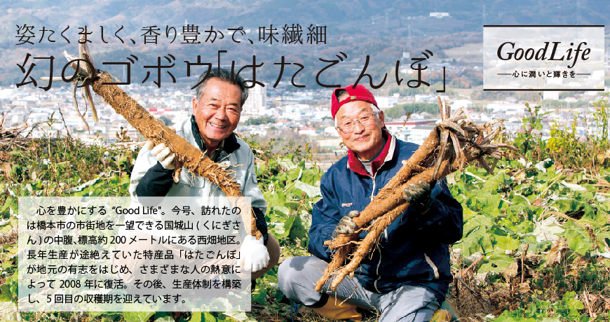 姿たくましく、香り豊かで、味繊細幻のゴボウ「はたごんぼ」