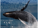 まつもとあきこ×クジラのアート展