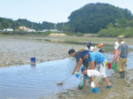 干潟の生物観察会