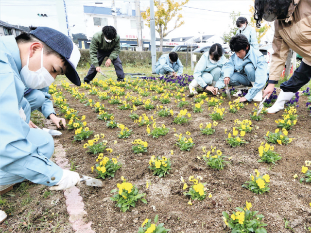 和歌山ろうさい病院ウクライナ花壇