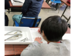 食卓に上がる魚をじっくりみてみよう