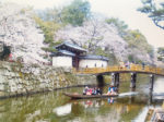 トピックス<br/>和歌山城のお堀で舟に乗ろう! <br/>「お花見遊覧」開催中<br/>4月9日(日)まで毎日運行、いつもと違う景色を楽しむ
