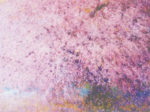 桜さくら 播磨静絵画展