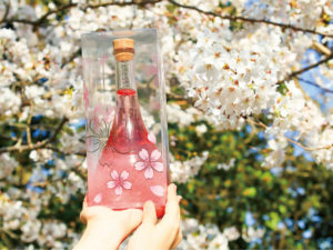 「blossom(ブロッサム)～さくら梅酒」