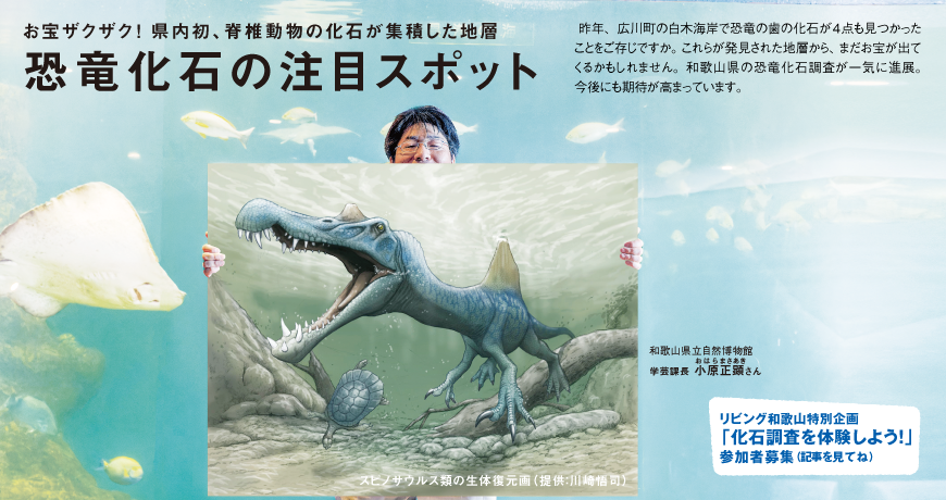 リビング和歌山7月22日号「お宝ザクザク！ 県内初、脊椎動物の化石が集積した地層 恐竜化石の注目スポット」