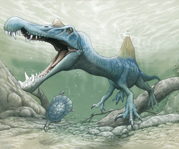 スピノサウルス類の生体復元画（提供：川崎悟司）