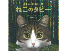 まいごになった ねこのタビー