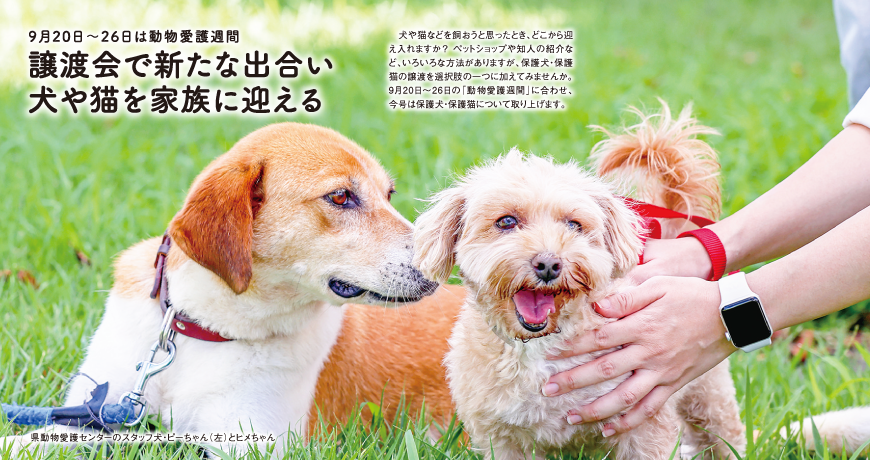 リビング和歌山9月23日号「9月20日〜26日は動物愛護週間 譲渡会で新たな出合い 犬や猫を家族に迎える」