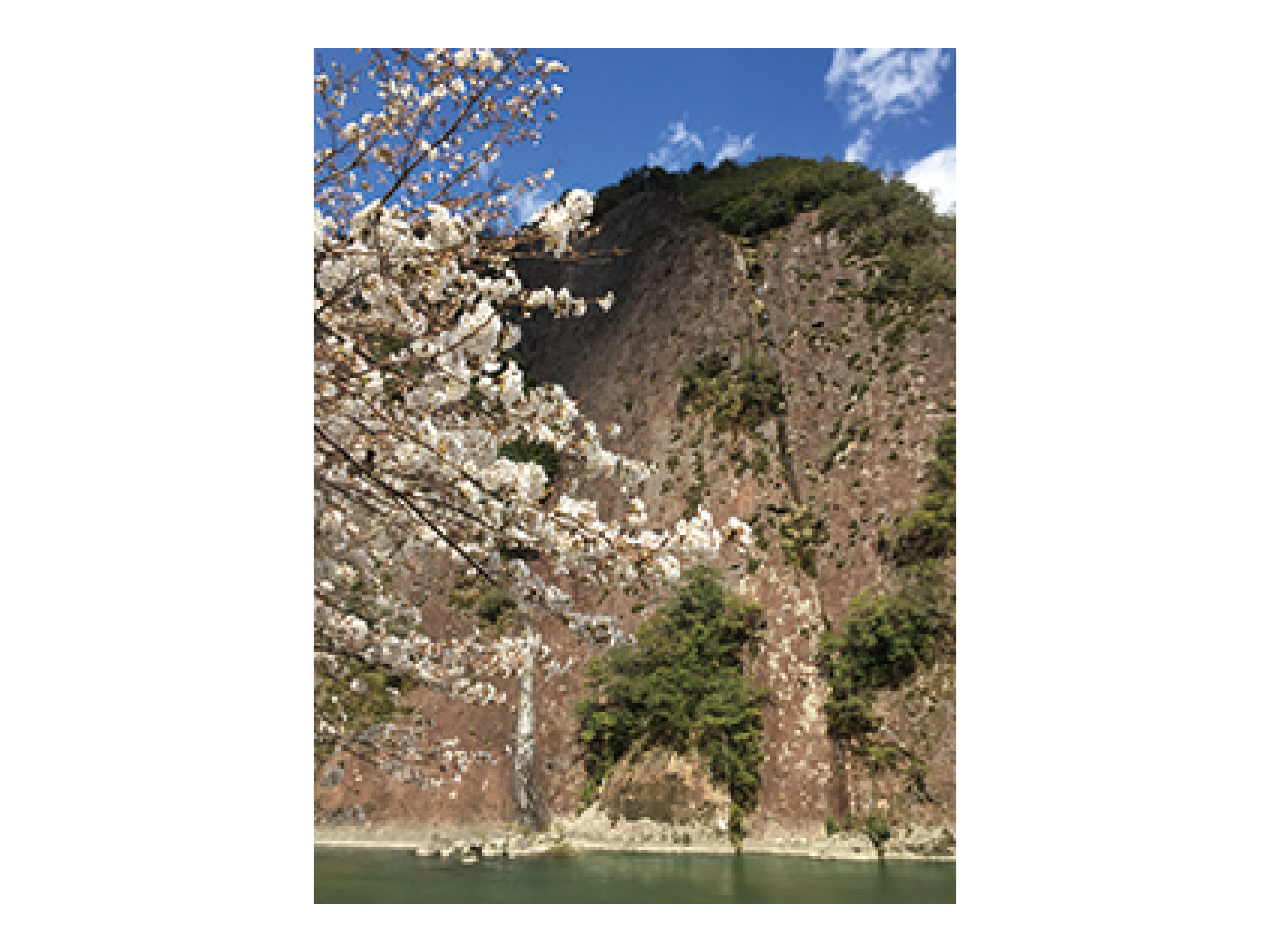 和歌山県の岩石・珪長質火成岩類