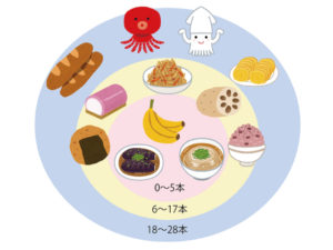 歯の本数に対して食べられる物の目安