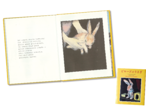 ビロードのうさぎ 動物絵本31冊　0さいから5歳ぐらい ビロードのうさぎ | マージェリィ・W. ビアンコ, 酒井 駒子