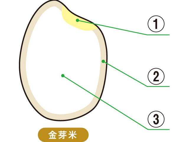 金芽米の特徴