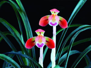 2751e77bef238db8743ee2382620a3