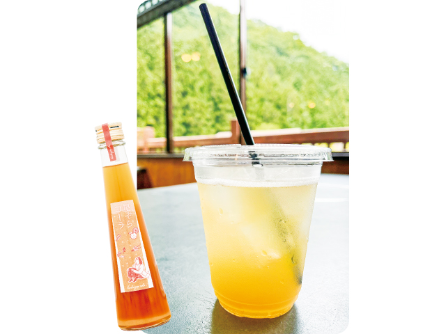 星ぞらコーラ たまゆらの里